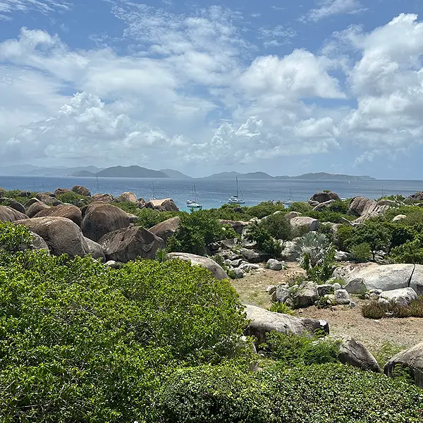 Spring Bay Moorage at The Baths