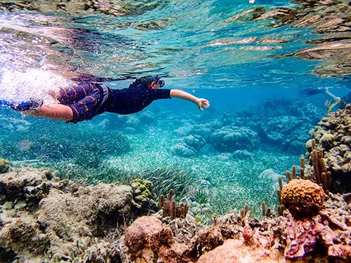 Young man snorkeling on a Belize sailing adventure